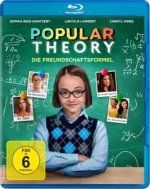 Popular Theory - Die Freundschaftsformel
