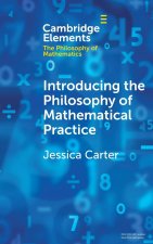 Introducing the Philosophy of Mathematical Practice