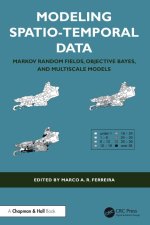 Modeling Spatio-Temporal Data