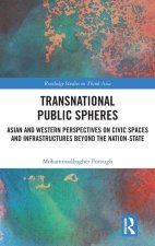 Transnational Public Spheres