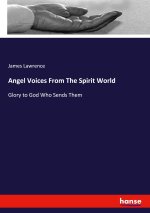 Angel Voices From The Spirit World