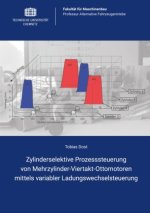 Zylinderselektive Prozesssteuerung von Mehrzylinder-Viertakt-Ottomotoren mittels variabler Ladungswechselsteuerung