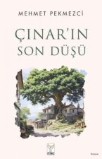 Cinarin Son Düsü