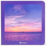 VIOLETA