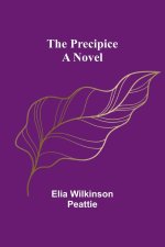 The Precipice