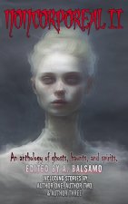 Noncorporeal II