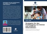 Strategien für den Kreditzugang von kleinen und mittleren Unternehmen: