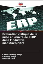 Évaluation critique de la mise en oeuvre de l'ERP dans l'industrie manufacturière
