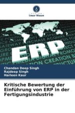 Kritische Bewertung der Einführung von ERP in der Fertigungsindustrie