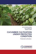 CUCUMBER CULTIVATION UNDER PROTECTED CONDITION