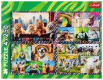 Funny animals