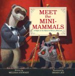 MEET THE MINI MAMMALS A NIGHT AT THE N