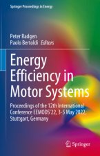 Energy Efficiency in Motor Systems