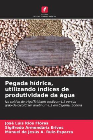 Pegada hídrica, utilizando índices de produtividade da água (José Luis Ríos Flores,Sigifredo Armendáriz Erives,Manuel de Jesus A. Ruiz-Esparza)(
