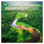 Poznámkový kalendář Deštné pralesy 2025