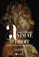 Animal et droit