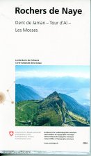 25105 Rochers de Naye