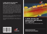 L'afide dorato del pistacchio dell'Atlante di Laghouat