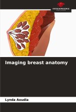 Imaging breast anatomy