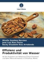 Effizienz und Produktivität von Wasser