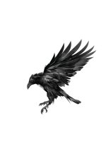 Murder of Crows