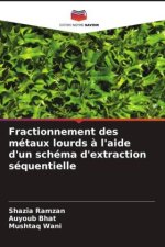 Fractionnement des métaux lourds ? l'aide d'un schéma d'extraction séquentielle