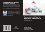 Comprimé matriciel ? libération prolongée de cinnarizine