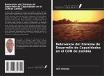 Relevancia del Sistema de Desarrollo de Capacidades en el CDN de Zambia