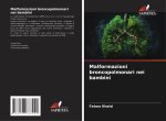 Malformazioni broncopolmonari nei bambini