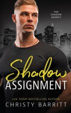 Shadow Assignment