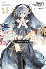 DATE A LIVE V13 LN