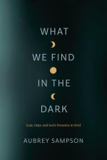WHAT WE FIND IN THE DARK