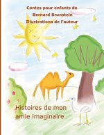 HISTOIRE DE MON AMIE IMAGINAIRE