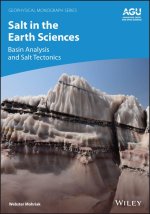 Salt in the Earth Sciences, Volume 2