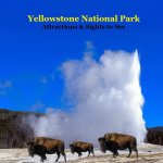 Yellowstone Park Attractions and Sights to See Kids Book