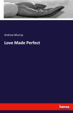Love Made Perfect