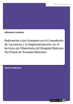 Enfermería a las Gestantes en el Consultorio de Lactancia y la Implementación en el Servicio de Obstetricia del Hospital Materno NeoNatal de Posadas-M