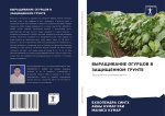 VYRAShhIVANIE OGURCOV V ZAShhIShhENNOM GRUNTE