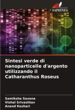 Sintesi verde di nanoparticelle d'argento utilizzando il Catharanthus Roseus