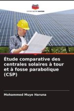 Étude comparative des centrales solaires ? tour et ? fosse parabolique (CSP)