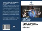 ?Typ-II-Osteoporose-Pathogenese als Folge einer sekundären Zahnlücke