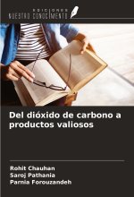 Del dióxido de carbono a productos valiosos
