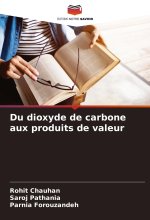Du dioxyde de carbone aux produits de valeur