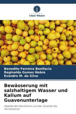 Bewässerung mit salzhaltigem Wasser und Kalium auf Guavenunterlage (Reginaldo Gomes Nobre,Evandro M. da Silva)(Miękka)