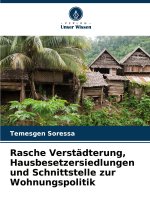 Rasche Verstädterung, Hausbesetzersiedlungen und Schnittstelle zur Wohnungspolitik