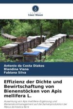 Effizienz der Dichte und Bewirtschaftung von Bienenstöcken von Apis mellifera L.