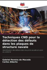 Techniques CND pour la détection des défauts dans les plaques de structure navale