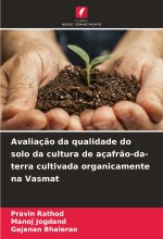 Avaliaç?o da qualidade do solo da cultura de açafr?o-da-terra cultivada organicamente na Vasmat