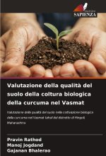 Valutazione della qualit? del suolo della coltura biologica della curcuma nel Vasmat