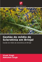 Gest?o do míldio de Sclerotinia em Brinjal